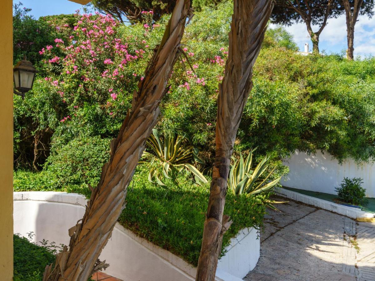 Appartement Cabopino-2 By Interhome